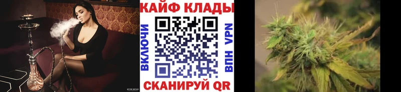 Магазины продажи наркотиков Ленинградская Конопля  А ПВП  Мефедрон  COCAIN 