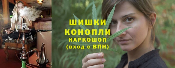 СК Богородск