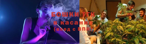 тгк Богданович