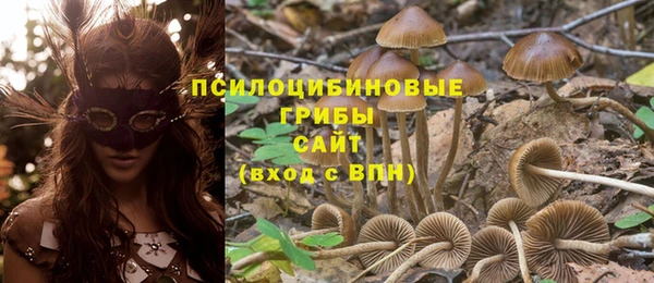 тгк Богданович