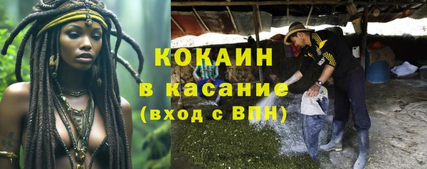 тгк Богданович