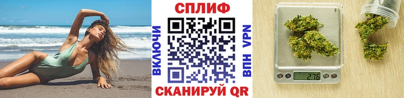 купить закладку Ленинградская Бошки марихуана план